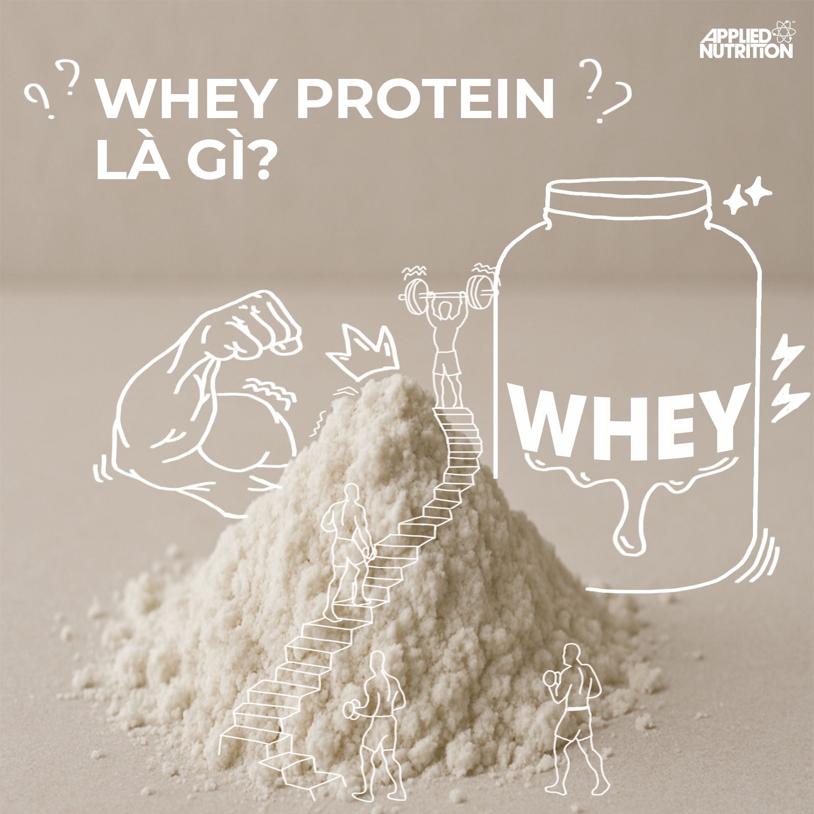 Whey Protein là gì? Có bao nhiêu loại Whey và loại nào tốt nhất?