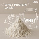 Whey Protein là gì? Có bao nhiêu loại Whey và loại nào tốt nhất?