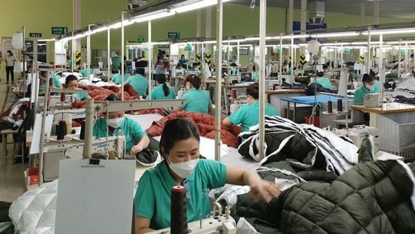 Nhà máy Sợi Vinatex Nam Định - doanh nghiệp được hỗ trợ kỹ thuật từ chương trình DEPP3