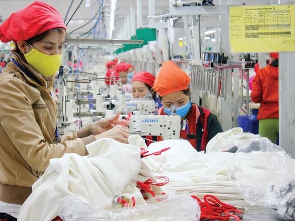 Công ty TNHH May Tinh Lợi - doanh nghiệp được hỗ trợ kỹ thuật từ chương trình DEPP3