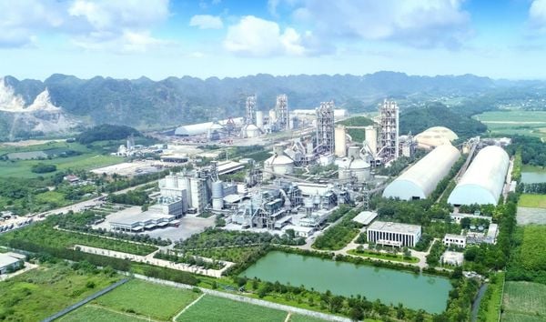 Chi nhánh Công ty TNHH Long Sơn tại Thanh Hóa - Nhà máy xi măng Long Sơn - doanh nghiệp được hỗ trợ kỹ thuật từ chương trình DEPP3