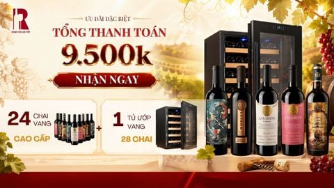 Ưu Đãi Đặc Biệt: Combo 24 Chai Vang + Tủ Vinocave 28 Chai Chỉ 9.500.000đ