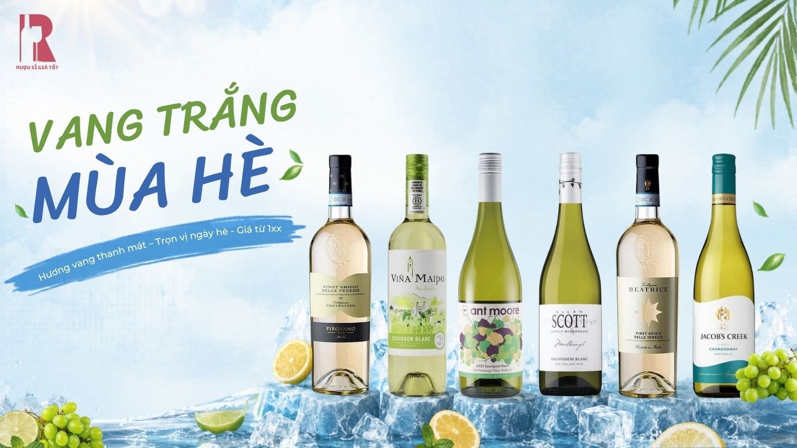 Vang Trắng Mùa Hè - Thanh Mát Xua Tan Nắng Nóng