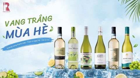 Vang Trắng Mùa Hè - Thanh Mát Xua Tan Nắng Nóng