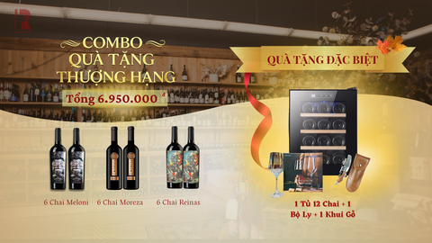Combo 18 Chai Vang Ý – Chile Giá 6.950.000đ Tặng Tủ Rượu, Bộ Ly Và Khui Gỗ