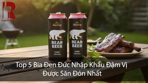 Top 5 Bia Đen Đức Nhập Khẩu Chính Hãng - Giá Từ 760.000đ