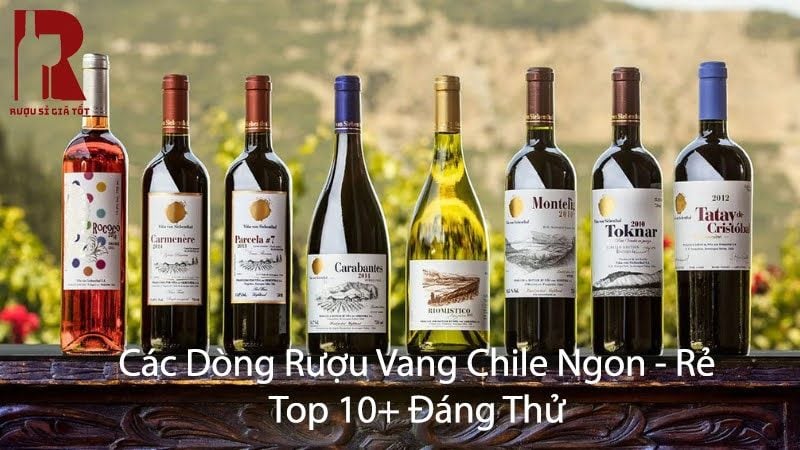 Các Dòng Rượu Vang Chile Ngon - Rẻ: Top 10+ Đáng Thử