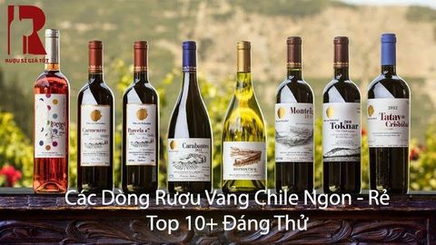 Các Dòng Rượu Vang Chile Ngon - Rẻ: Top 10+ Đáng Thử