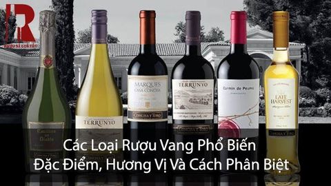 Các Loại Rượu Vang Phổ Biến: Đặc Điểm, Hương Vị Và Cách Phân Biệt