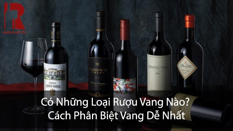 Có Những Loại Rượu Vang Nào? Cách Phân Biệt Vang Dễ Nhất