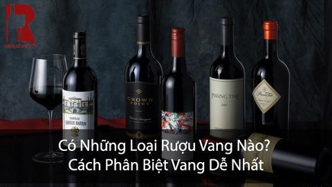 Có Những Loại Rượu Vang Nào? Cách Phân Biệt Vang Dễ Nhất