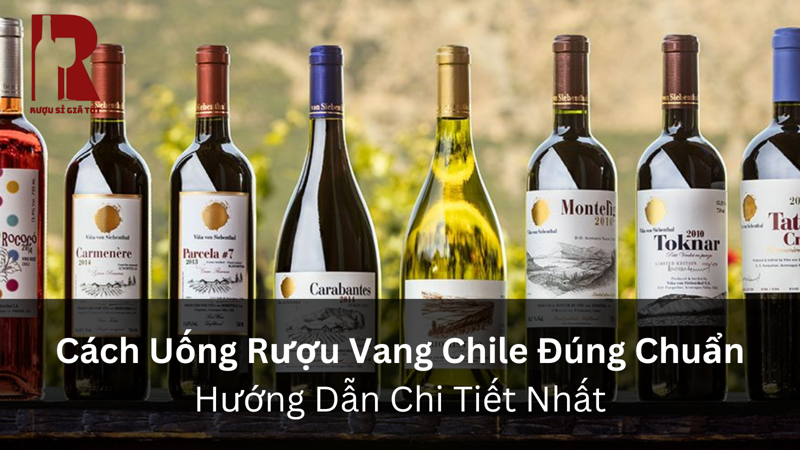 Cách Uống Rượu Vang Chile Chuẩn Vị: Nhiệt Độ, Ly, Món Ăn Kèm