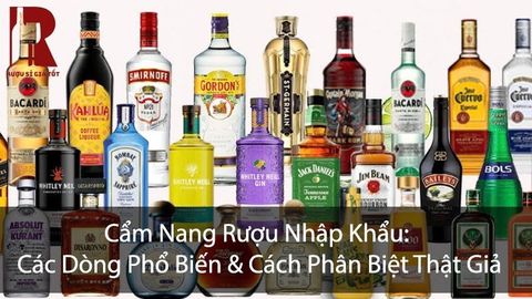 Rượu Nhập Khẩu: Phân Loại, Giá & Cách Chọn Nơi Mua Uy Tín