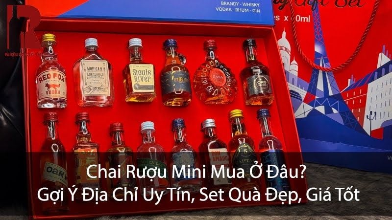Chai Rượu Mini Mua Ở Đâu? Gợi Ý Địa Chỉ Uy Tín, Set Quà Đẹp, Giá Tốt