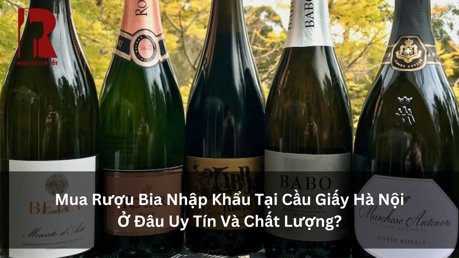 Đơn Vị Phân Phối Rượu Ngoại Nhập Khẩu Cao Cấp Tại Cầu Giấy