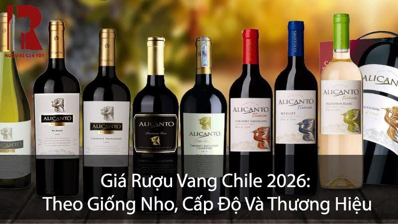 Giá Rượu Vang Chile 2026: Theo Giống Nho, Cấp Độ Và Thương Hiệu