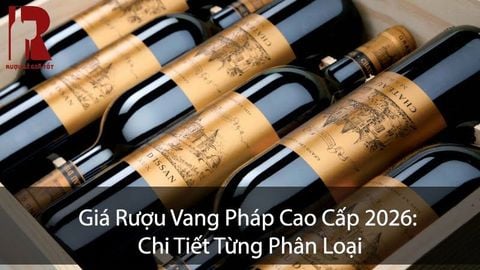 Giá Rượu Vang Pháp Cao Cấp 2026 Bao Nhiêu? Cập Nhật $month$/$year$