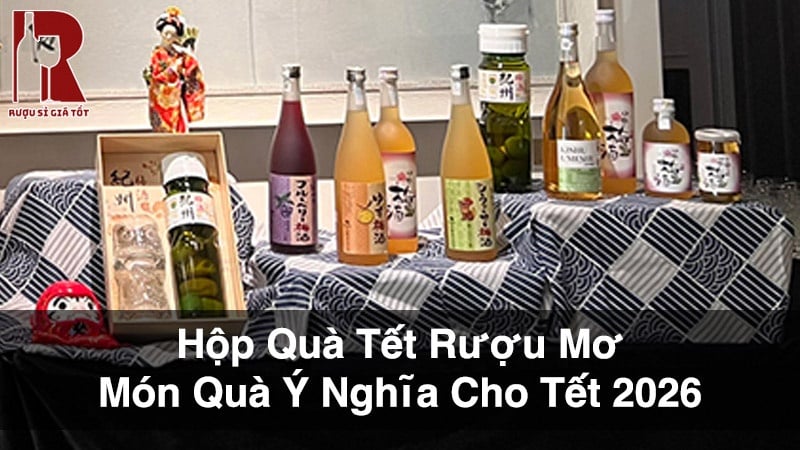 Hộp Quà Tết Rượu Mơ - Món Quà Ý Nghĩa Cho Tết 2026