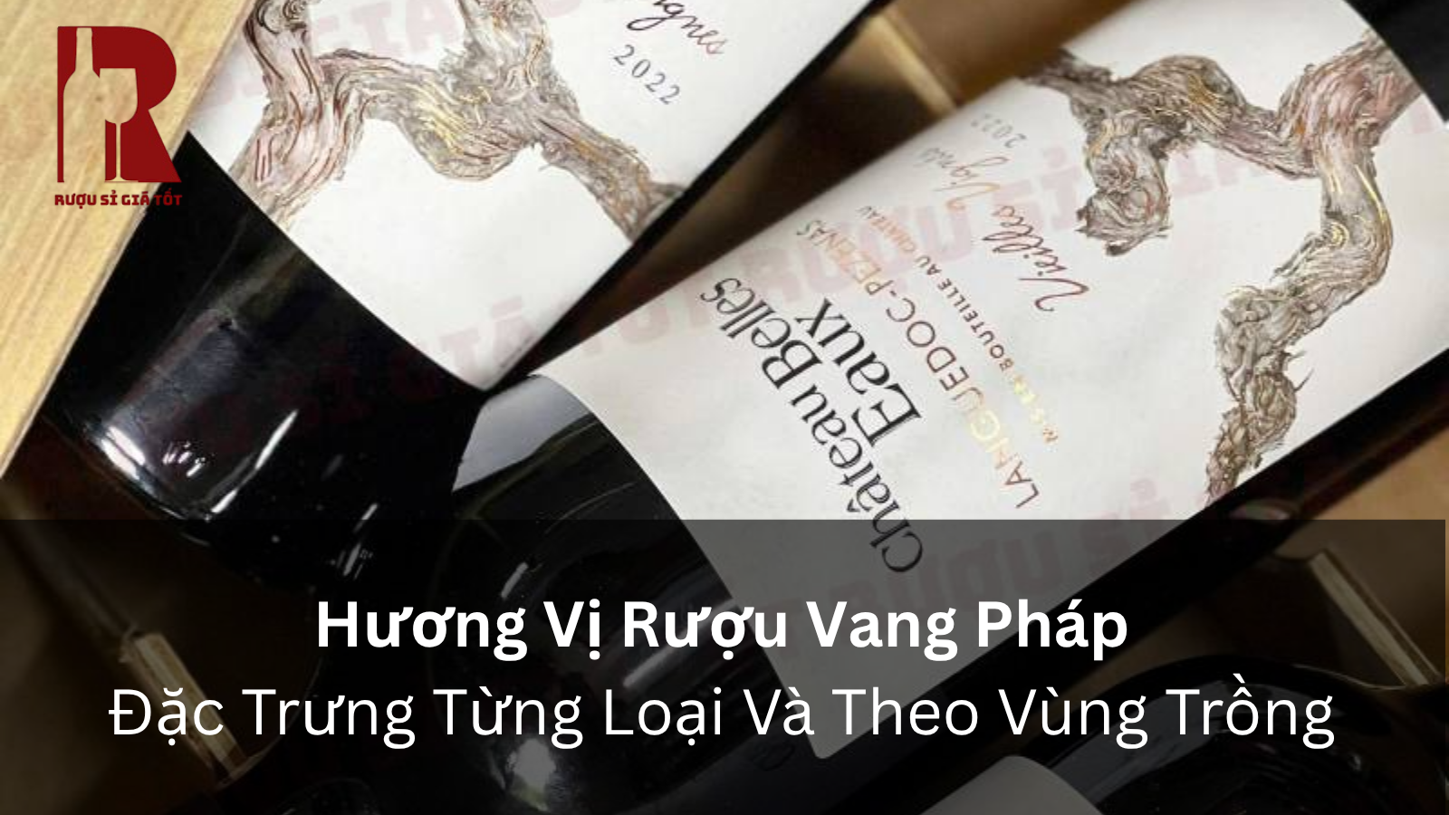 Hương Vị Rượu Vang Pháp: Đặc Trưng Từng Loại Và Theo Vùng Trồng
