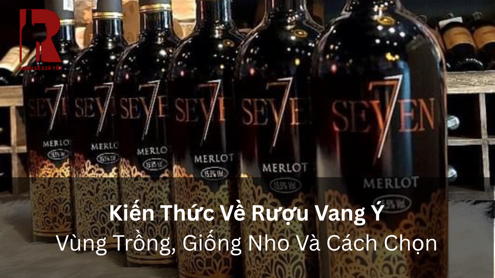 Kiến Thức Về Rượu Vang Ý: Vùng Trồng, Giống Nho Và Cách Chọn