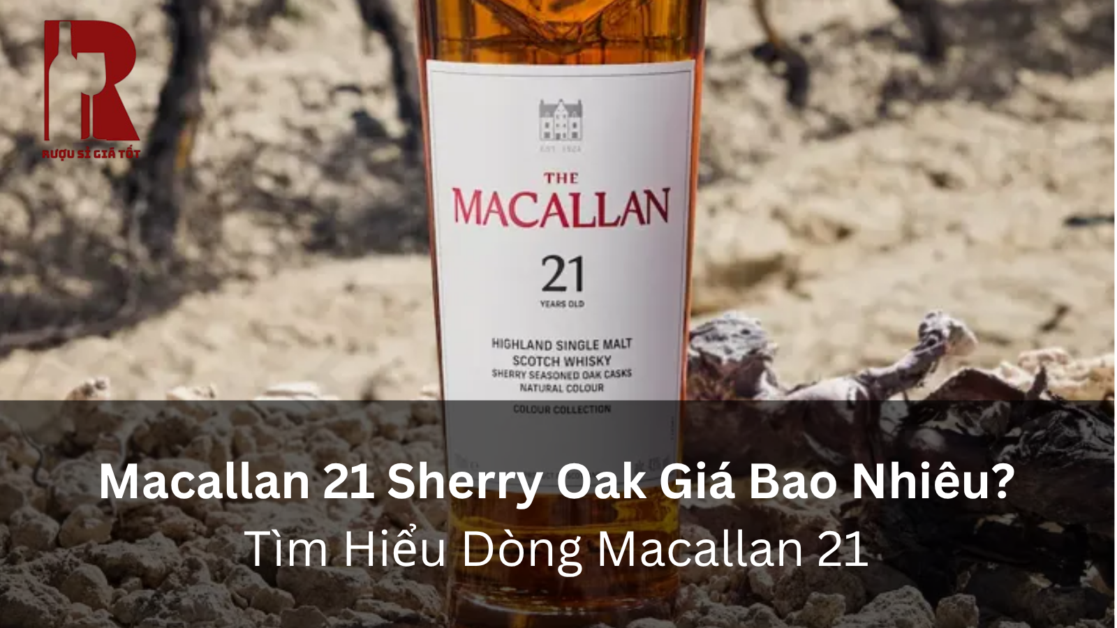 Macallan 21 Sherry Oak Giá Bao Nhiêu? Tìm Hiểu Dòng Macallan 21