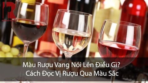 Màu Rượu Vang Nói Lên Điều Gì? Cách Đọc Vị Rượu Qua Màu Sắc