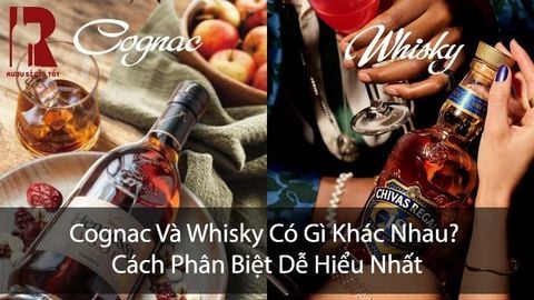 Rượu Cognac Và Whisky Có Gì Khác Nhau? Nên Chọn Loại Nào?