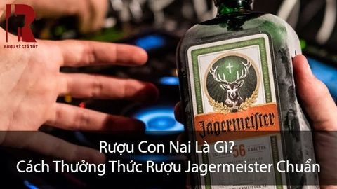 Rượu Con Nai (Jagermeister) Là Gì? Có Phải Là Rượu Đầu Hươu?