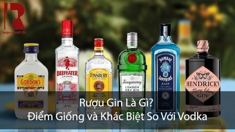 Rượu Gin Là Gì? Điểm Giống và Khác Biệt So Với Vodka