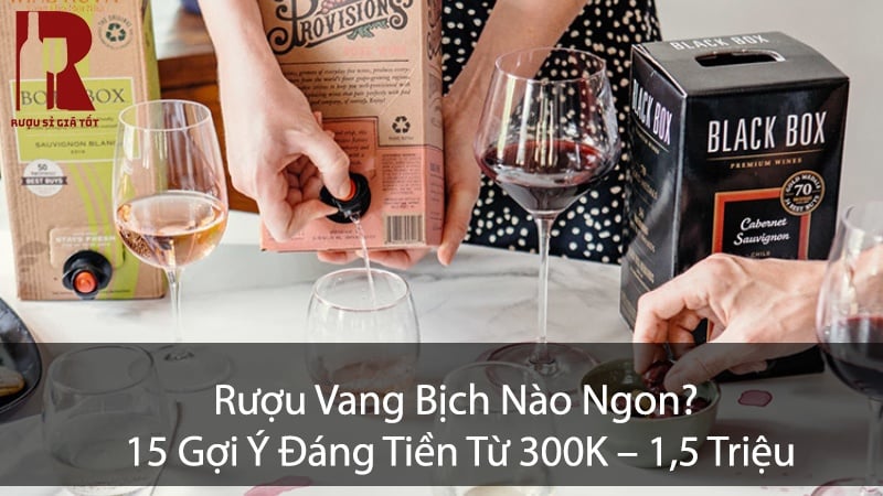 Rượu Vang Bịch Nào Ngon? 15 Gợi Ý Đáng Tiền Từ 300K – 1,5 Triệu