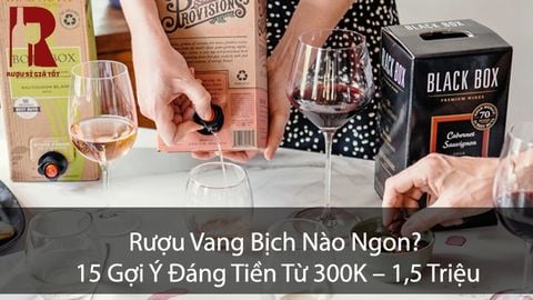 Rượu Vang Bịch Nào Ngon? 15 Gợi Ý Đáng Tiền Từ 300K – 1,5 Triệu