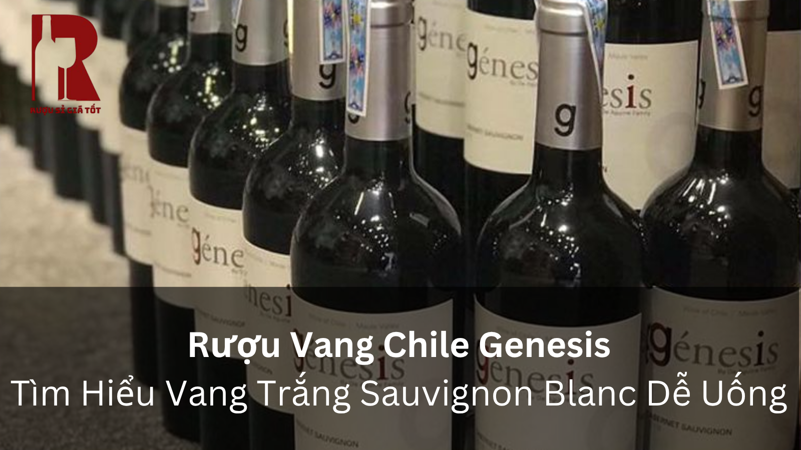 Rượu Vang Chile Genesis: Tìm Hiểu Vang Trắng Sauvignon Blanc Dễ Uống