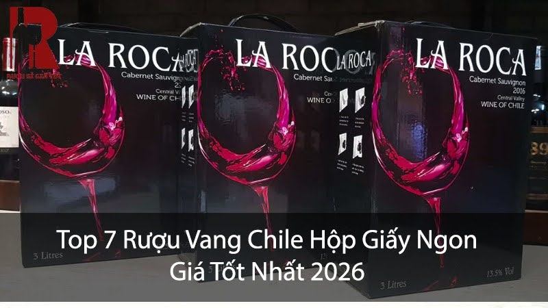 Top 7 Rượu Vang Chile Hộp Giấy Ngon, Giá Tốt Nhất 2026