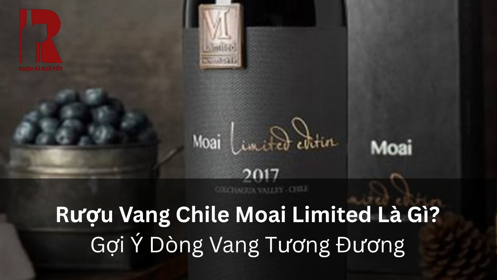 Rượu Vang Chile Moai Limited Là Gì? Gợi Ý Dòng Vang Tương Đương