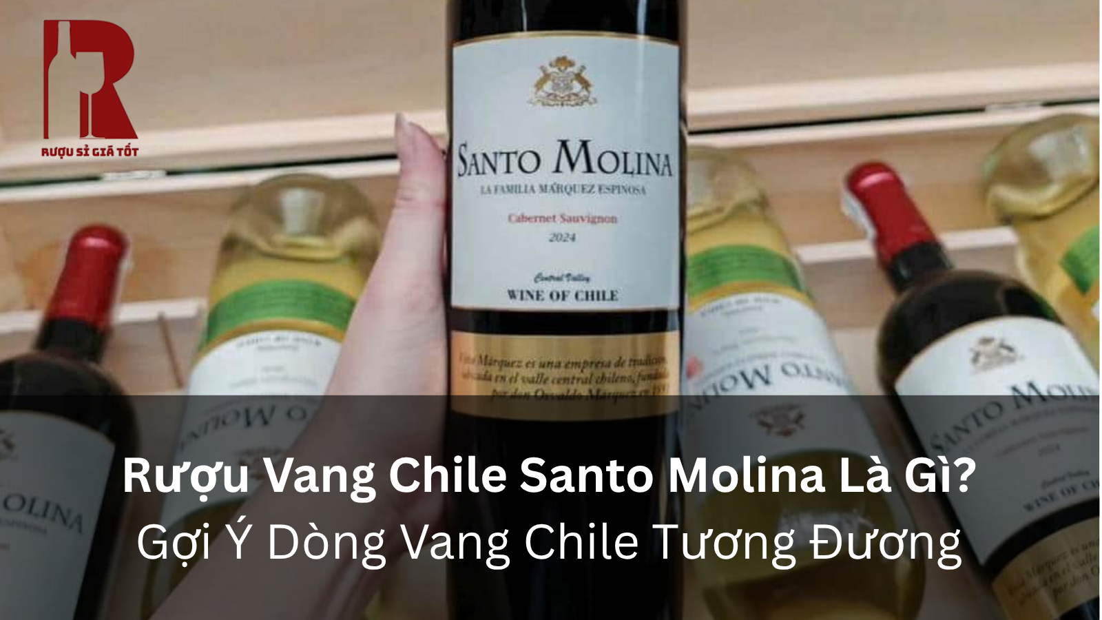 Rượu Vang Chile Santo Molina Là Gì? Gợi Ý Dòng Vang Chile Tương Đương
