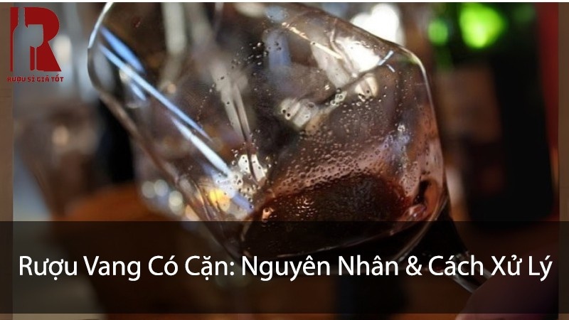 Rượu Vang Có Cặn: 4 Nguyên Nhân Và Cách Xử Lý An Toàn
