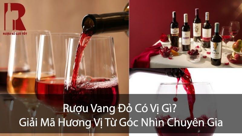 Rượu Vang Đỏ Có Vị Gì? Chát, Chua, Ngọt, Đắng, Thơm