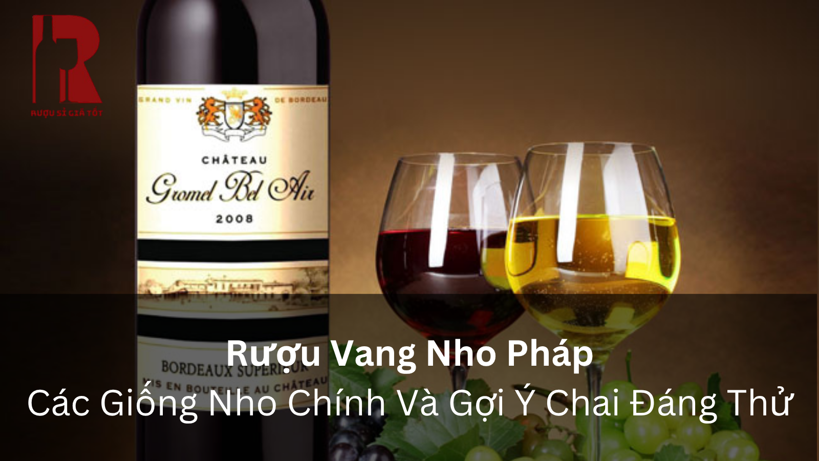 Rượu Vang Nho Pháp: Các Giống Nho Chính Và Chai Đáng Thử