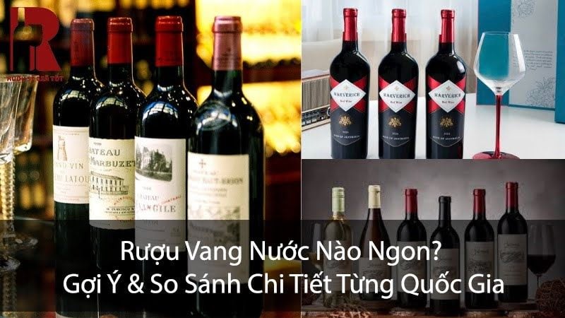 Rượu Vang Nước Nào Ngon? Gợi Ý & So Sánh Từng Quốc Gia