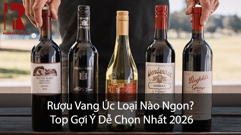 Rượu Vang Úc Loại Nào Ngon? Top 15 Chai Ngon Nhất 2026