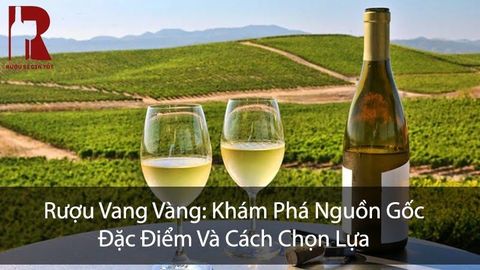 Rượu Vang Vàng: Khám Phá Nguồn Gốc, Đặc Điểm Và Cách Chọn