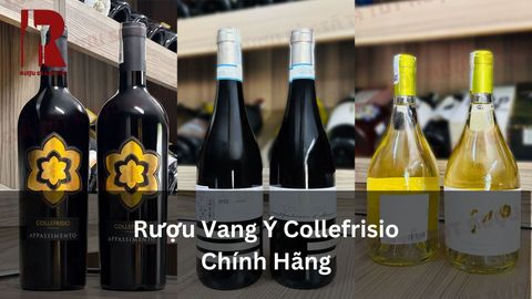 Rượu Vang Ý Collefrisio: Top 17 Chai Collefrisio Chính Hãng