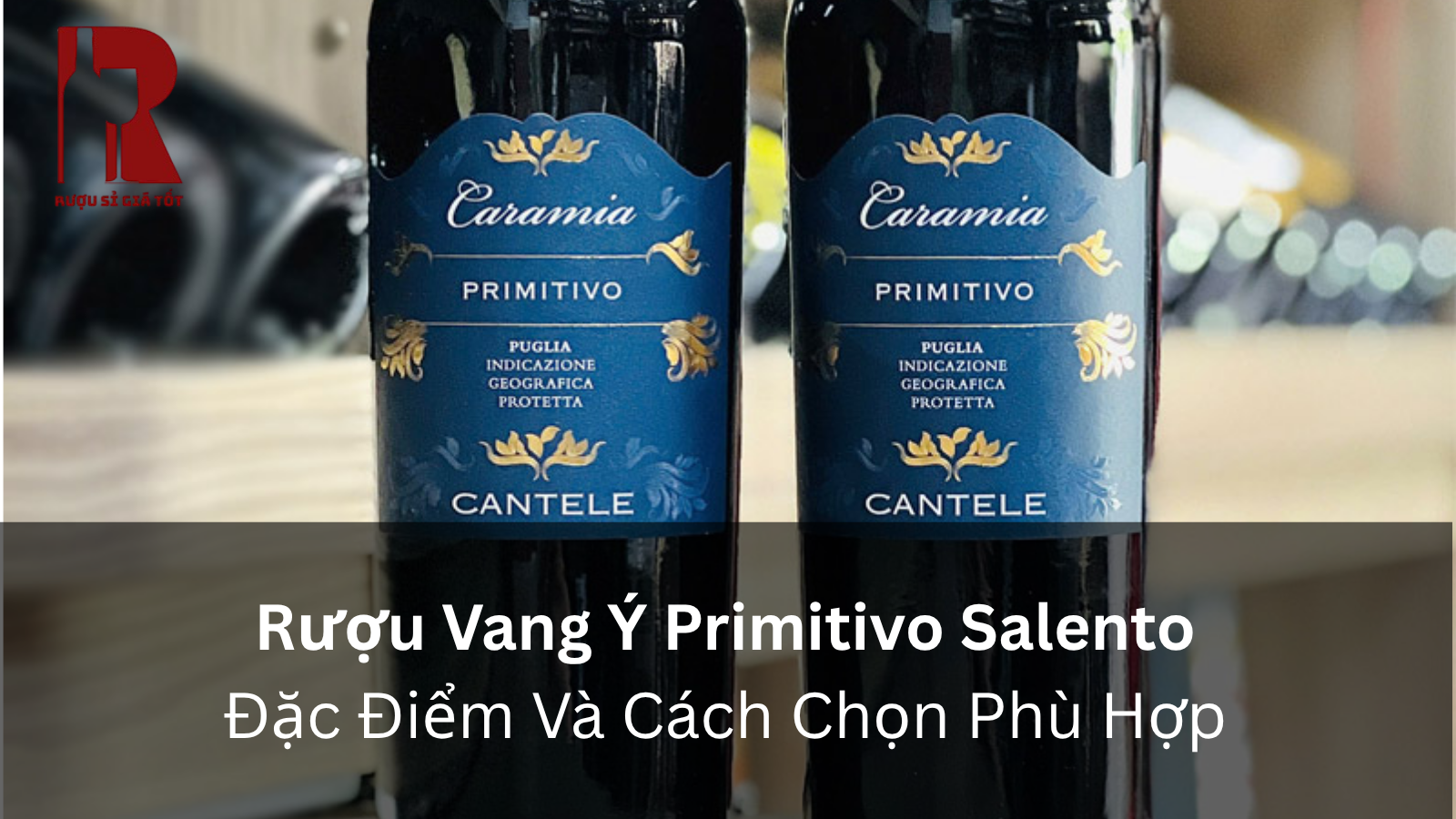 Rượu Vang Ý Primitivo Salento: Đặc Điểm Và Cách Chọn Phù Hợp