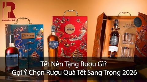 Tết Nên Tặng Rượu Gì? Gợi Ý Chọn Rượu Quà Tết Sang Trọng 2026