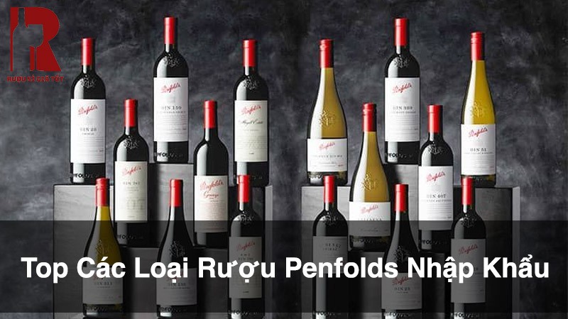 Top Các Loại Rượu Penfolds Nhập Khẩu Từ Úc Ngon Nhất