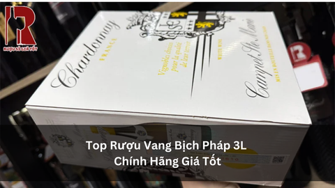 Top Rượu Vang Pháp Bịch 3 Lít: Giá Bao Nhiêu Tốt?