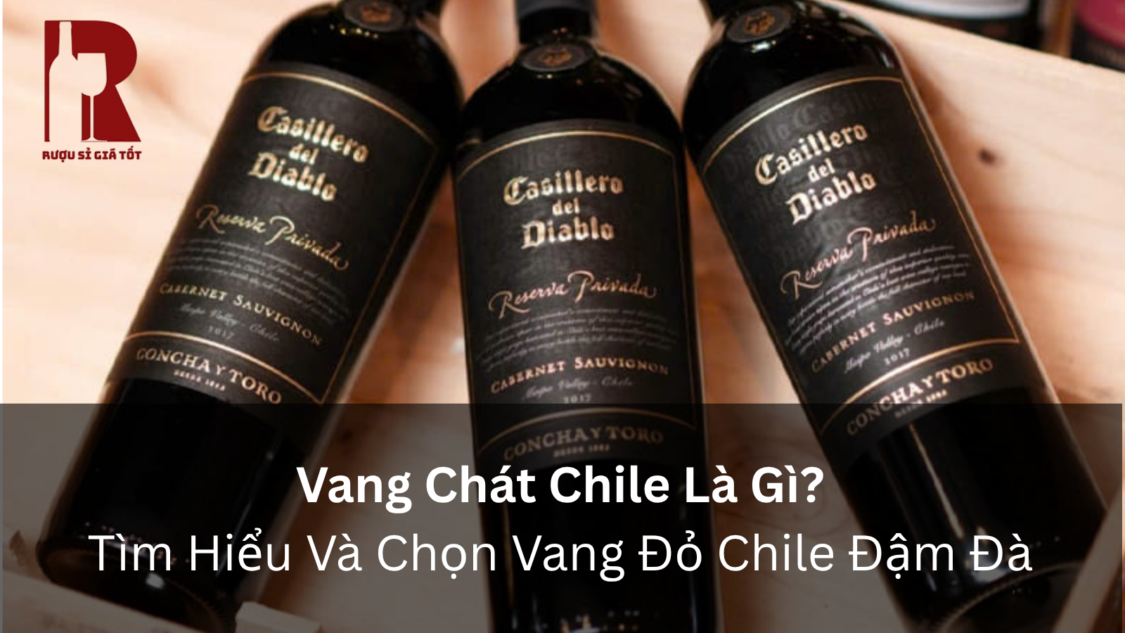 Vang Chát Chile Là Gì? Tìm Hiểu Và Chọn Vang Đỏ Chile Đậm Đà