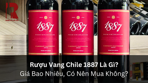 Rượu Vang Chile 1887 Là Gì? Giá Bao Nhiêu, Có Nên Mua Không?