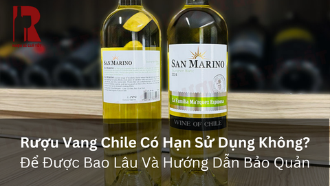 Hạn Sử Dụng Của Rượu Vang Chile: Giải Đáp Chi Tiết Từ A Đến Z