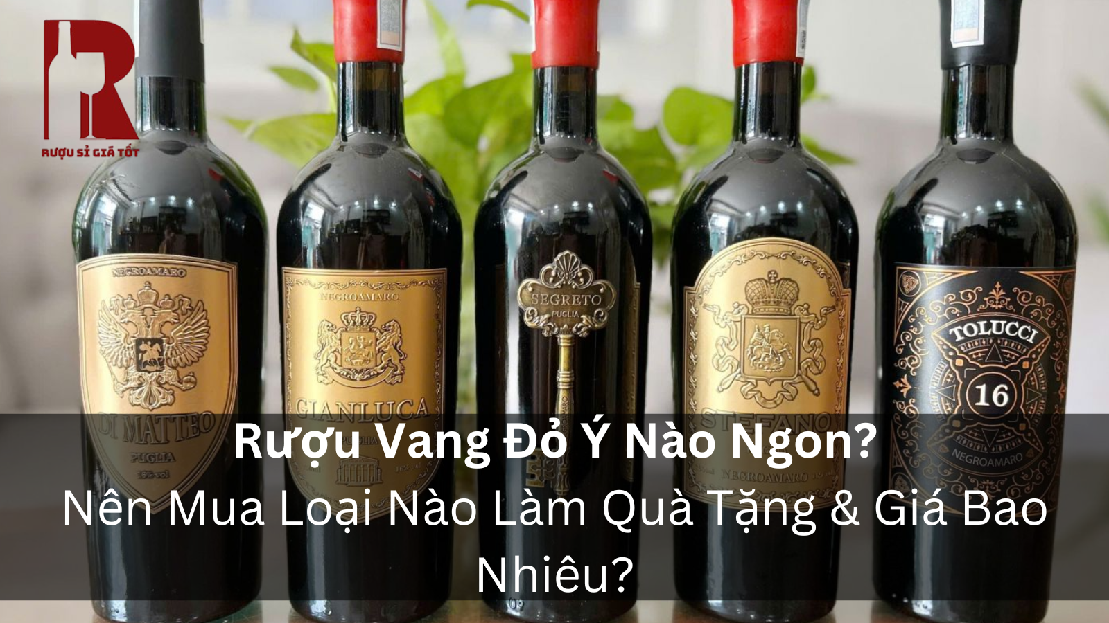 Rượu Vang Đỏ Ý: Hướng Dẫn Toàn Diện Từ Phân Loại Đến Cách Chọn Chai Ngon Nhất